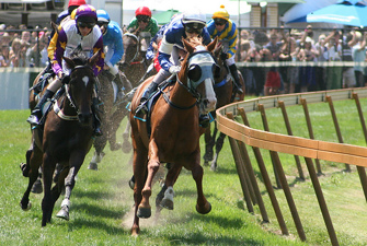 Horses racing